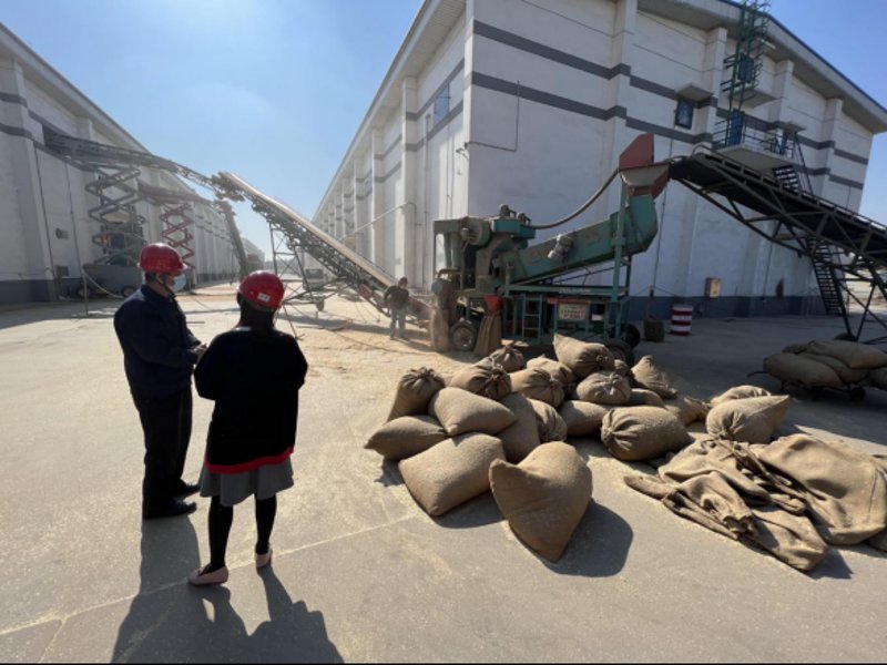 粮油市场的新趋势：利阳粮油引领行业变革